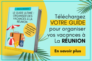 Ebook pour organiser vos vacances à la réunion