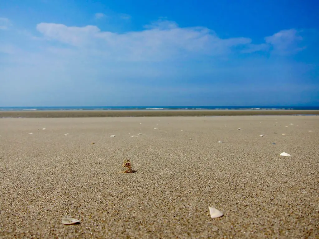 les plages de la côte d'opale