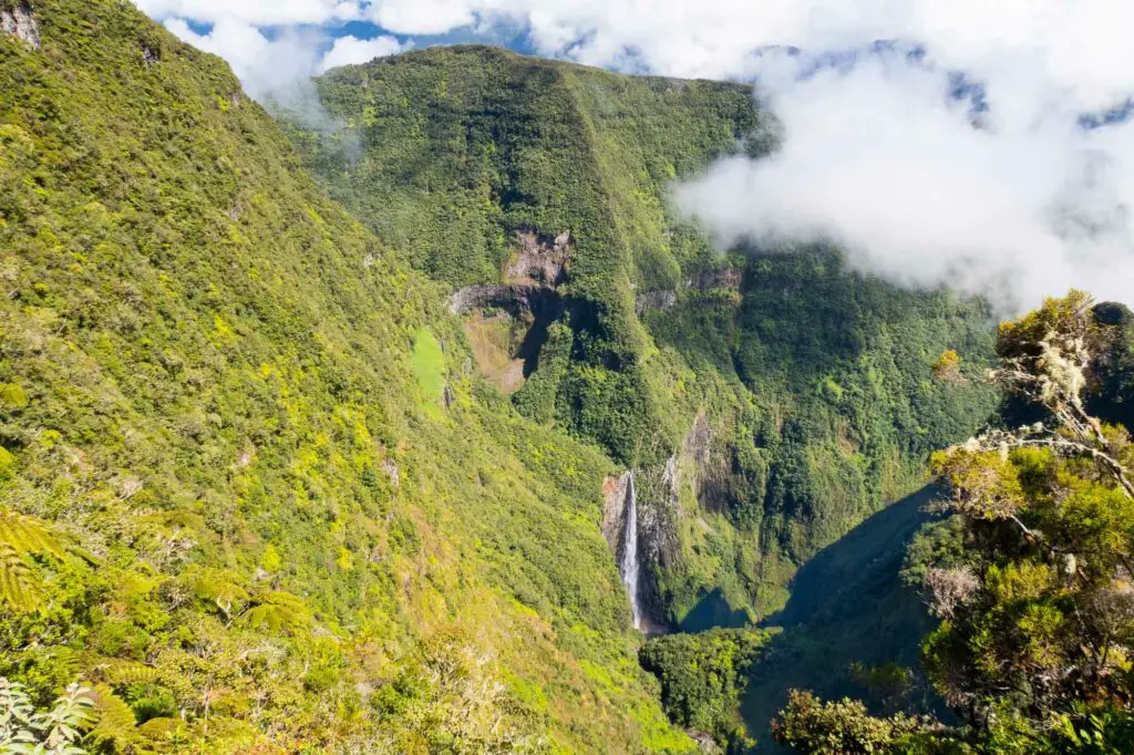 Les plus beaux sites de randonnée de la Réunion, la foret de Bébour et Bélouve le trou de fer