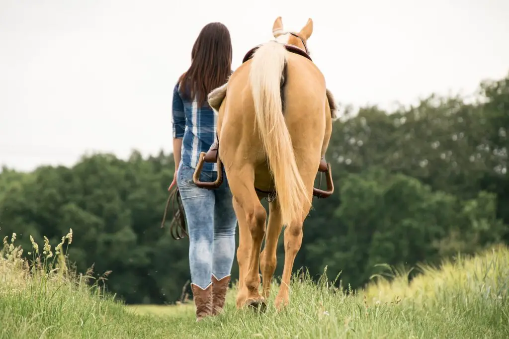 Balade à cheval dans les environs de New York