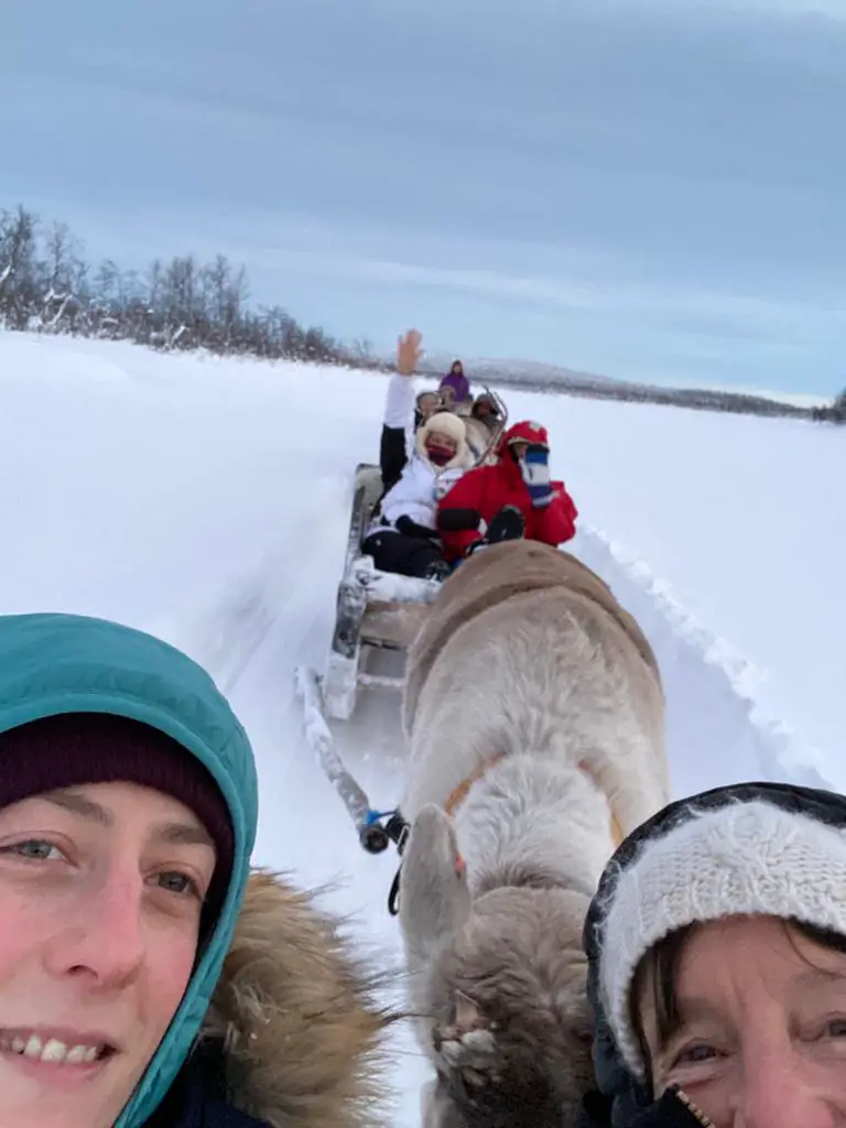 balade en rennes dans un traineau en finlande