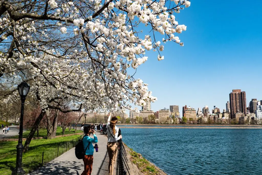 Central Park au printemps