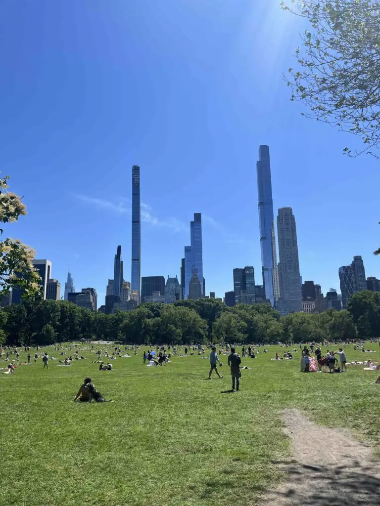 Central Park, le parc avec la vue sur les buildings