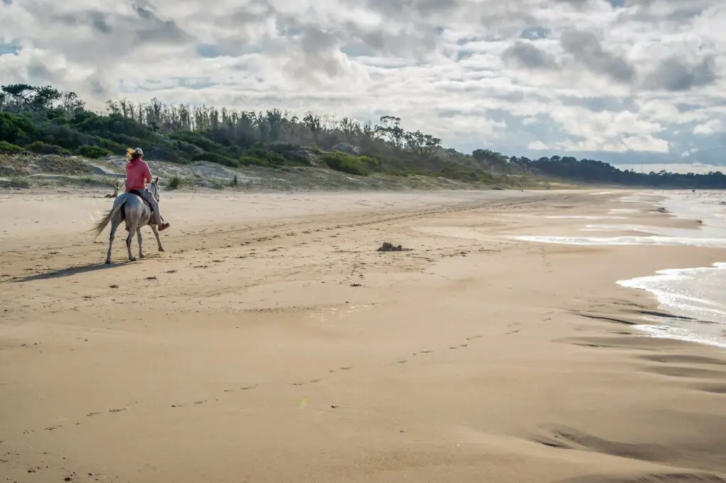 faire du cheval à la reunion activite outdoor