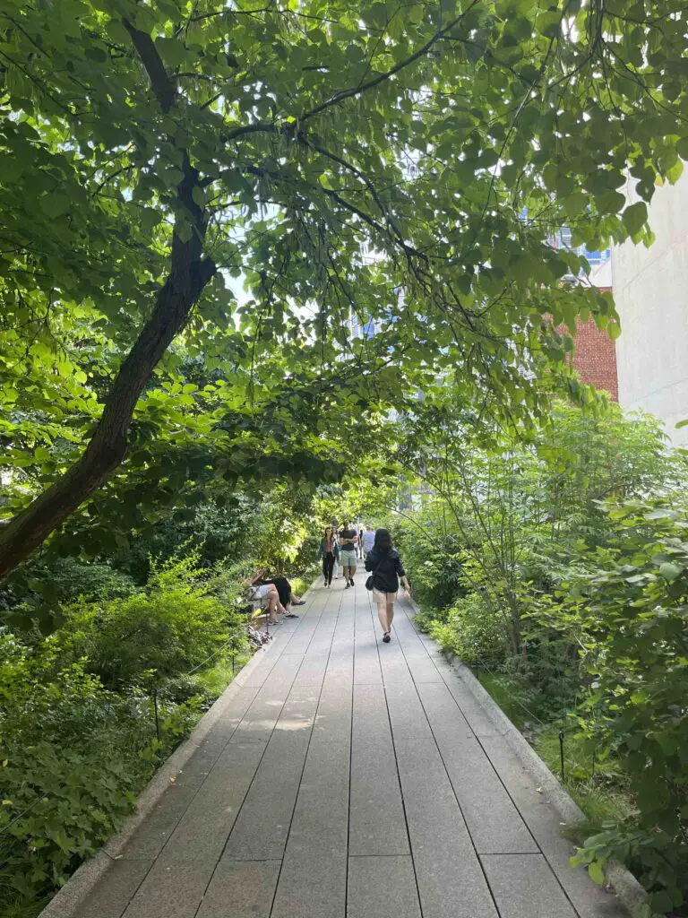 Les passages verdoyants de la High Line