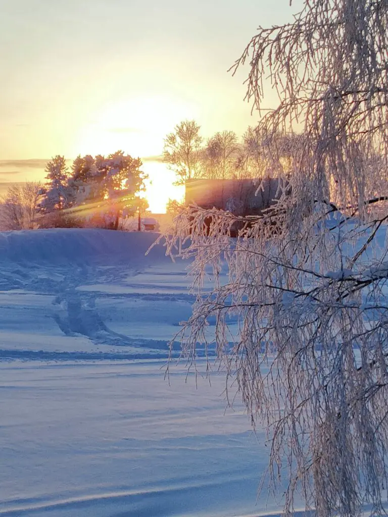 levé de soleil en laponie suédoise sur la neige