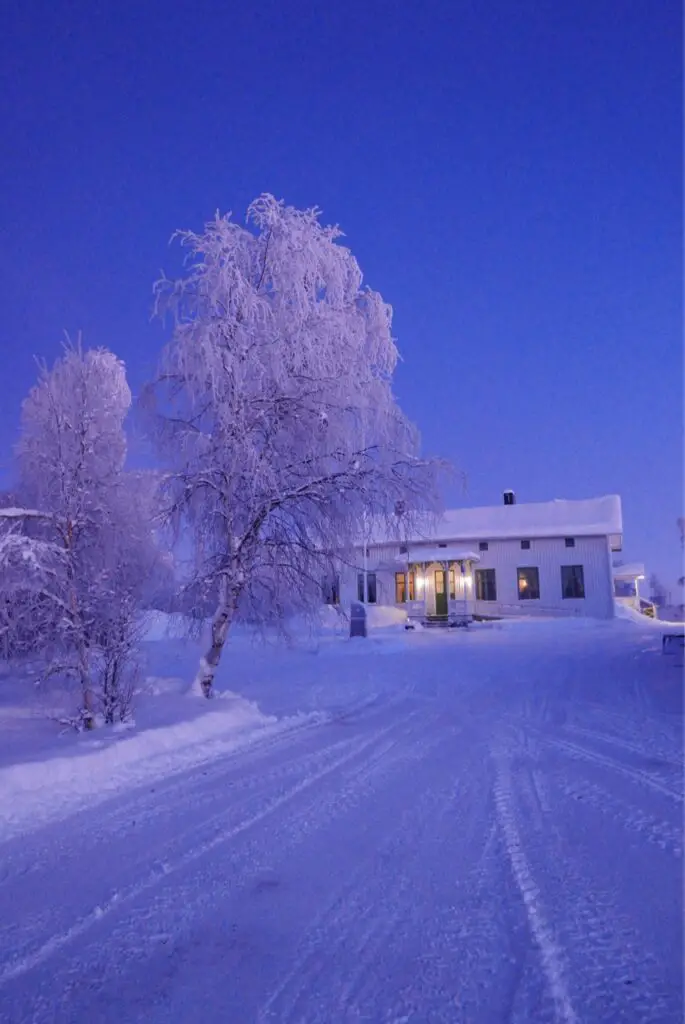 lumière bleu du matin en suède