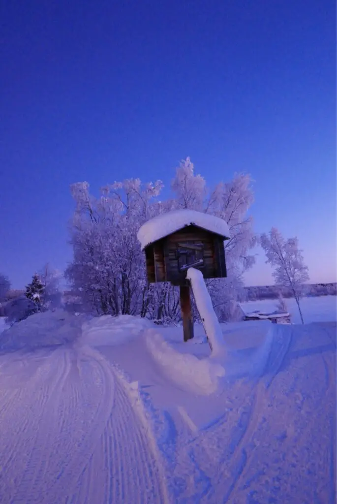 lumière bleue du matin en laponie suèdoise