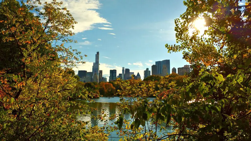 New York en automne