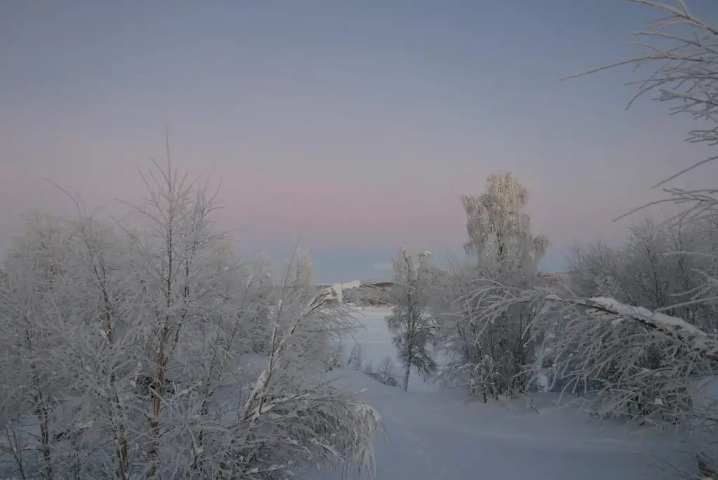 paysage enneigé du matin en laponie suédoise