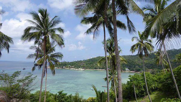 shark bay, plage à Koh Tao en Thailande