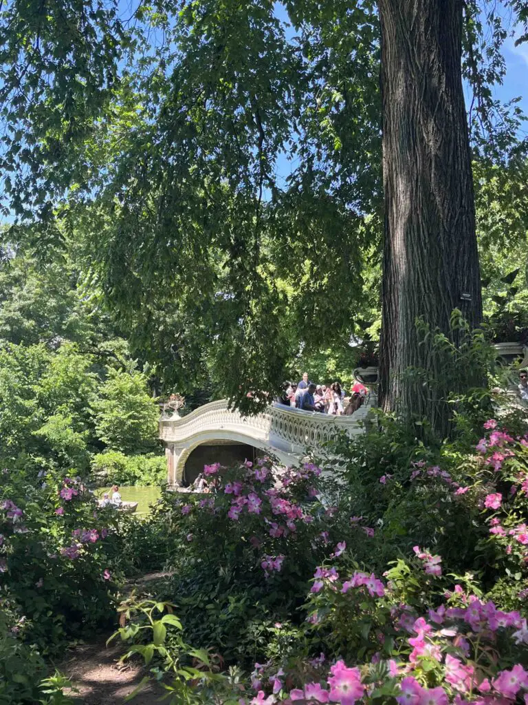 The Bow Bridge à Central Park