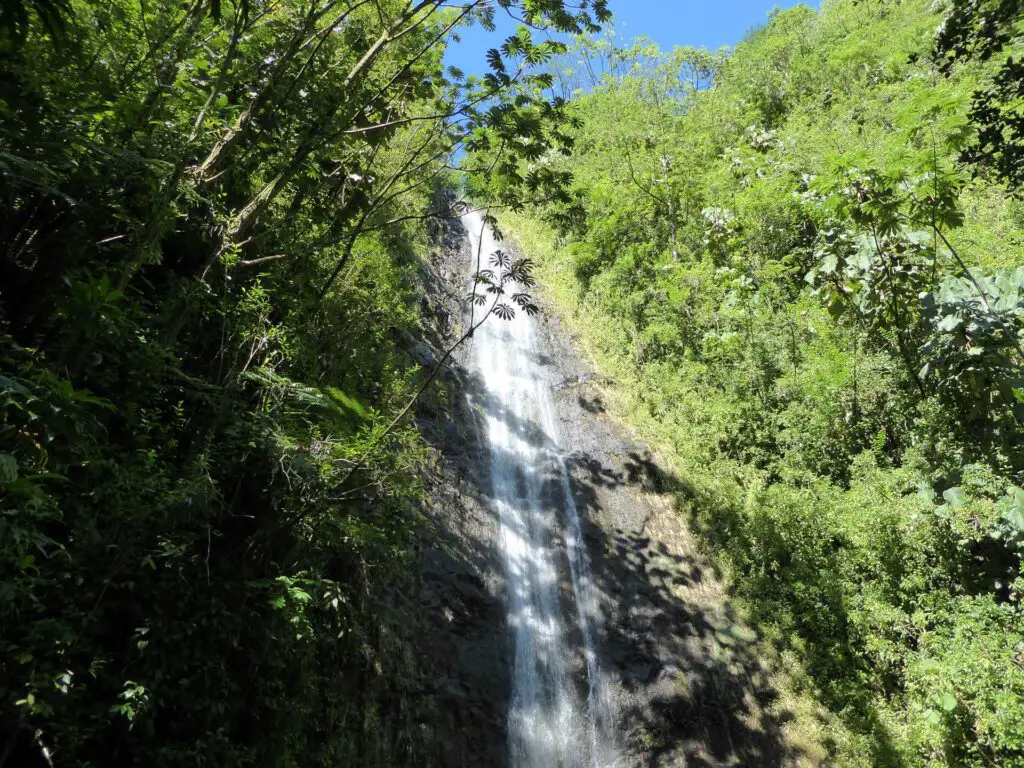 Chute d'eau de Manoa à Hawaï