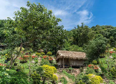 ecolodge dans la region de chiang mai