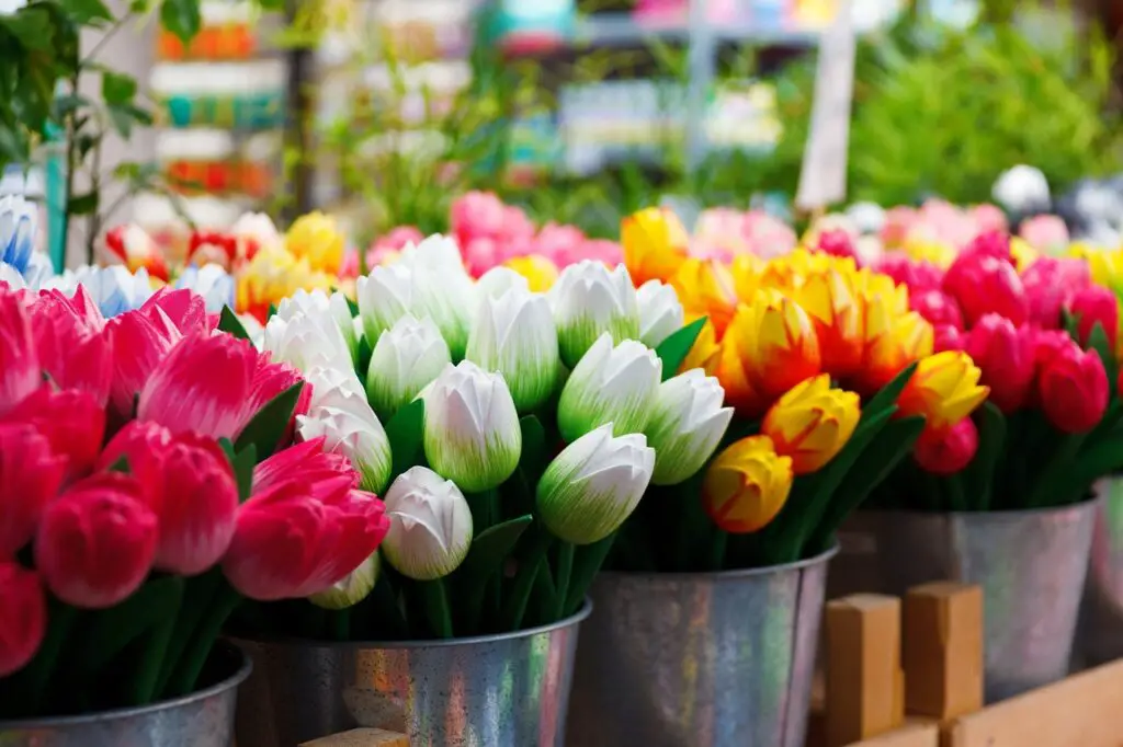 Le marché aux fleurs à amsterdam