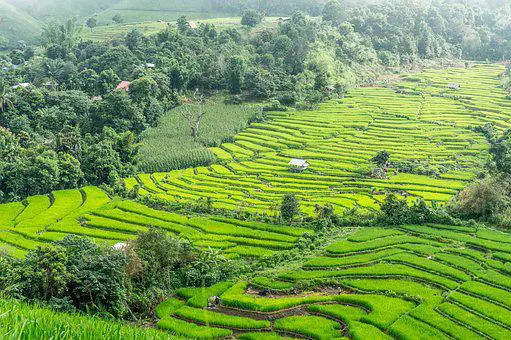 paysage de chiang mai