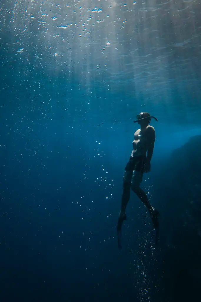 Plongée sous-marine à Hawaï, grande activité outdoor de la région