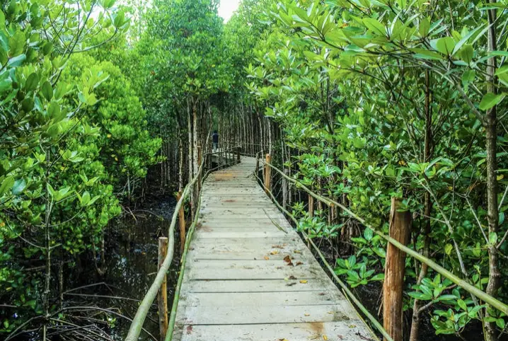 sentier de randonnée en thailande 