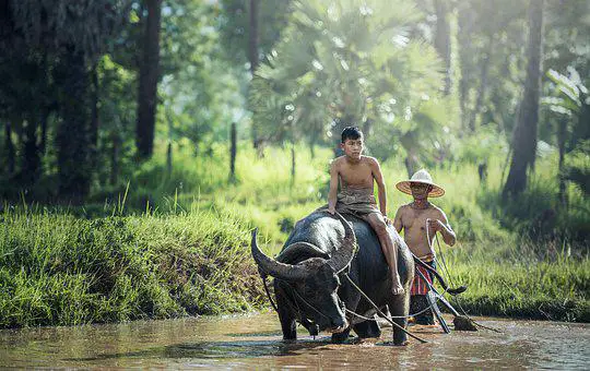 trek en thailande pour voir la culture