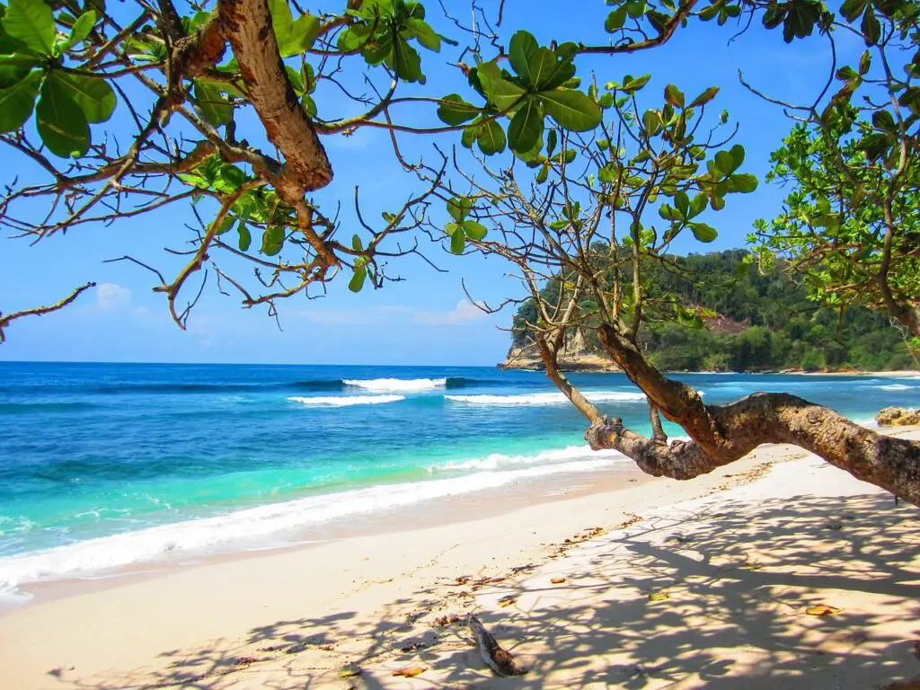 meilleur moment pour partir en vacances a la reunion