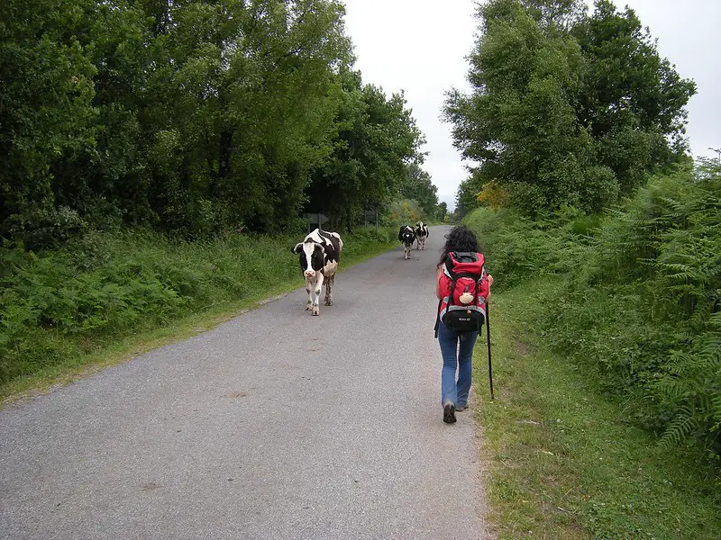 choisir le camino primitivo sur santiago de compostela