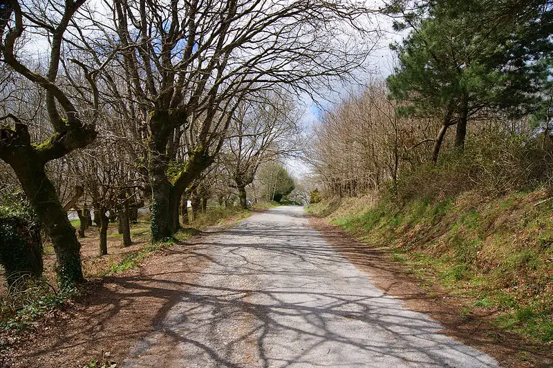 quel itinéraire réaliser sur Saint jacques de compostelle camino frances