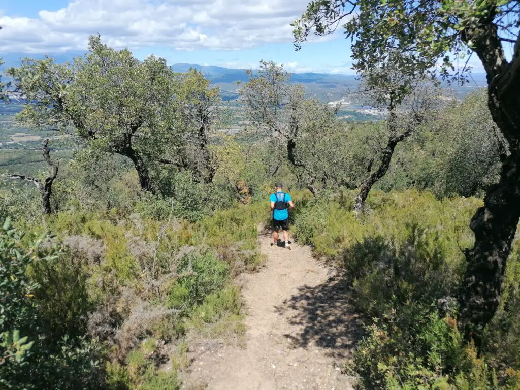 Test vêtement été run homme raidlight