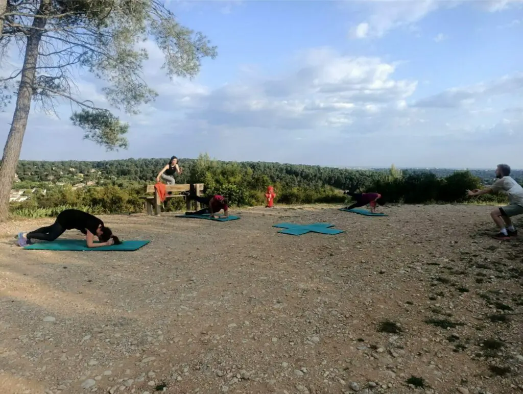 Entrainement et préparation physique au trail running