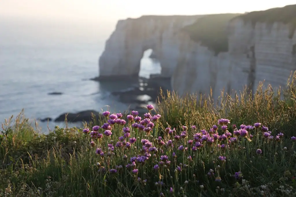 falaises étratat normandie