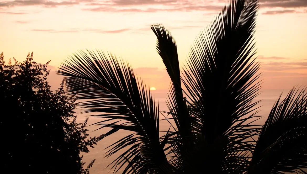 meilleure saison pour partir en voyage a la reunion