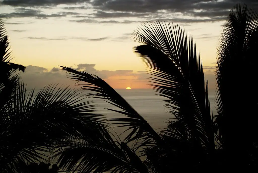 voyager a la reunion en hiver austral