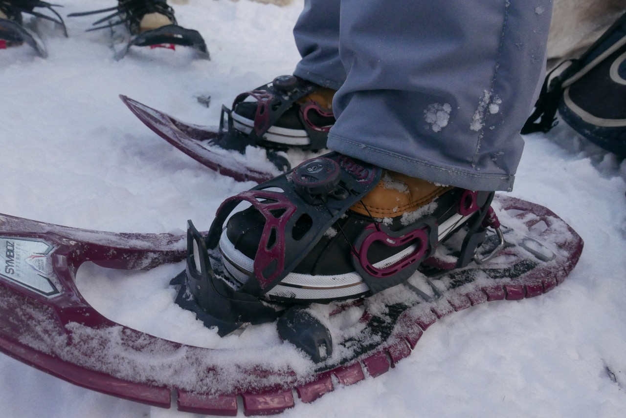 Raquettes à Neige TSL Symbioz Hyperflex Instinct - Légères, Flexibles, Pour Randonnée Naturelle