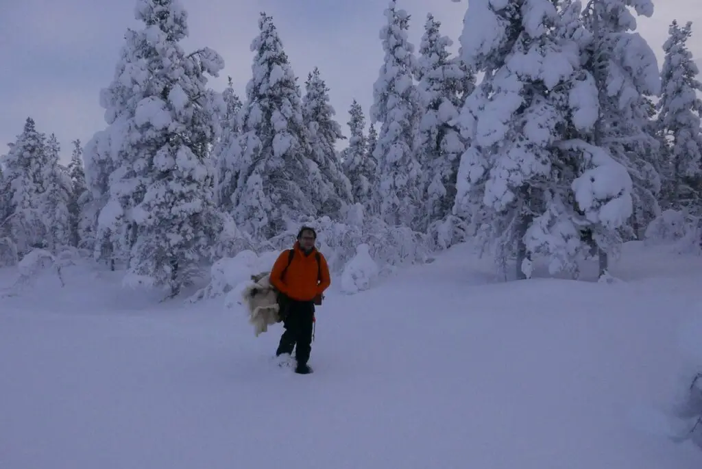 Randonnée l'hiver en raquette à neige en Laponie Suédoise