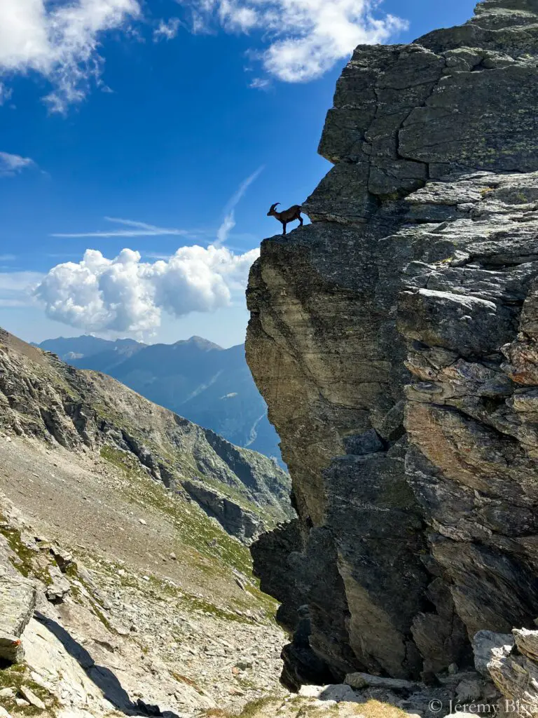 Col d'Ambin (2899m) durant la Trans'Alpes.