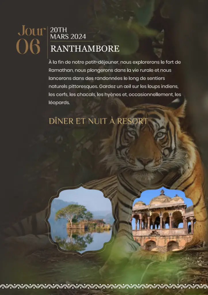 safari au parc national de Ranthambore en Inde