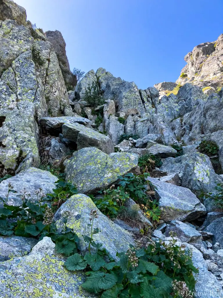 Descente du Monte d'Oro sur le GR20.