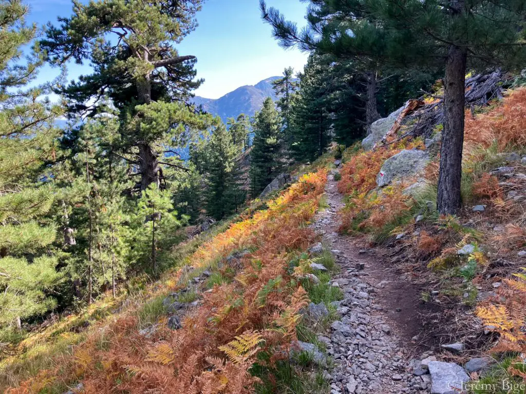 Étape entre Vizzavone et Capanelle sur le GR20.