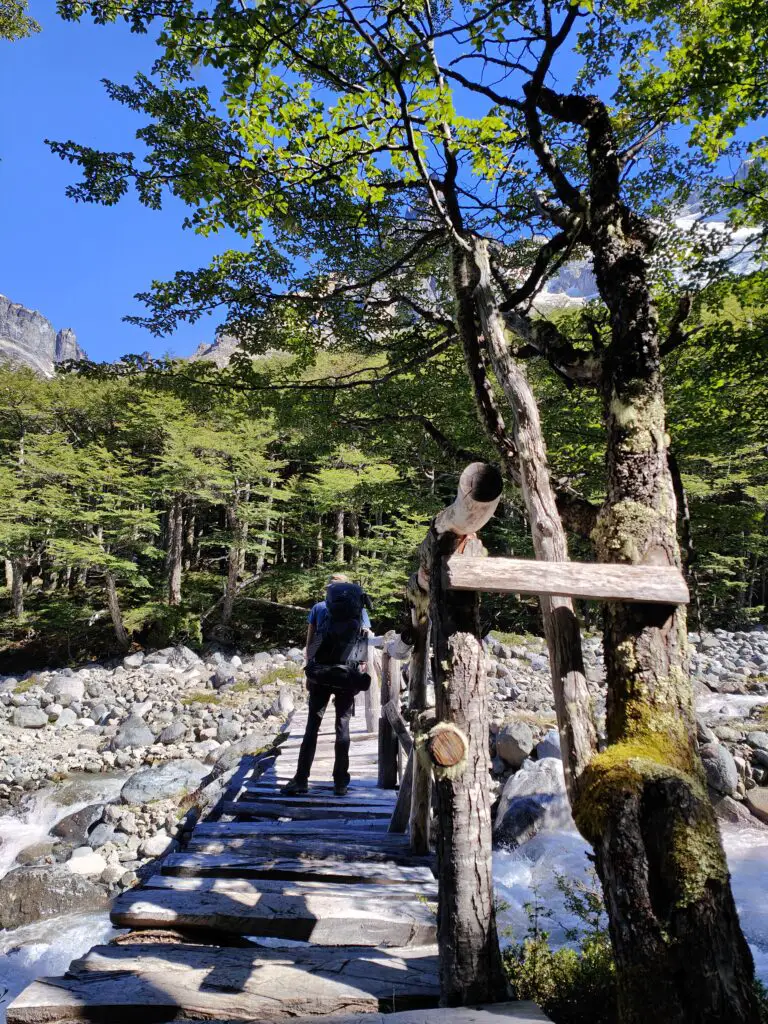 pont au dessus d'une rivière dans la forêt