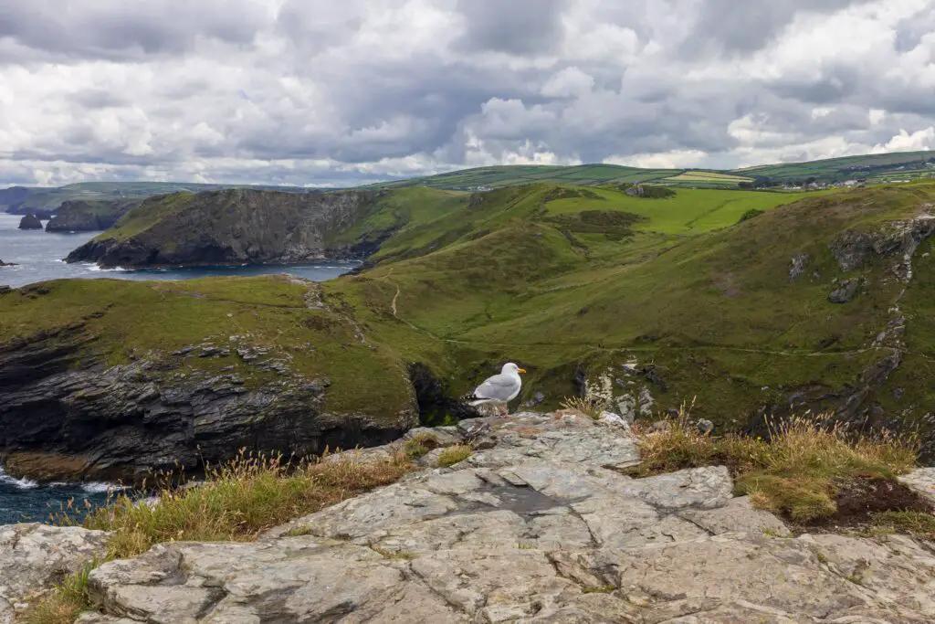 Le Southwest Coast Path : un trek facile à la découverte du Royaume-Uni