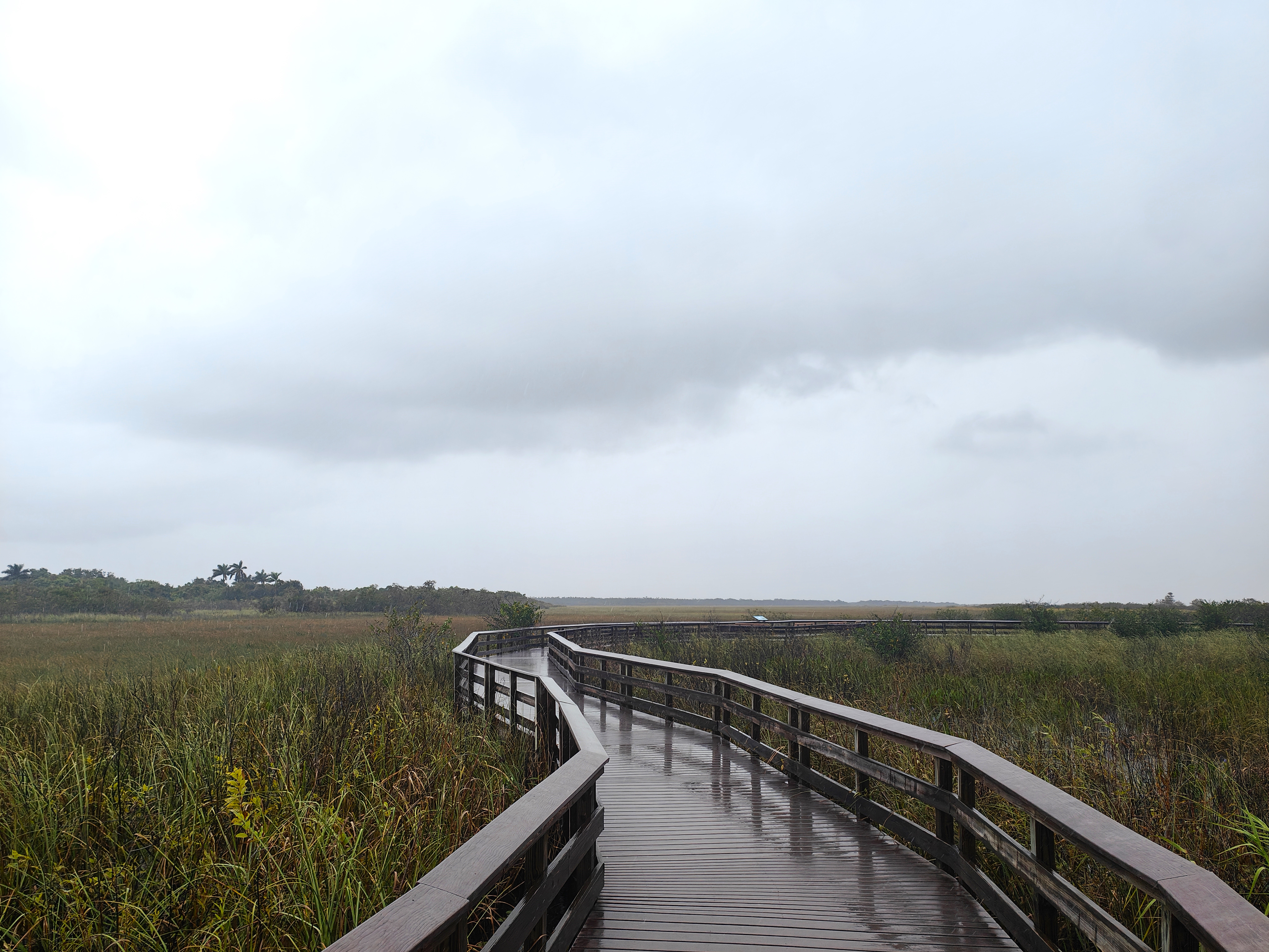 Anhinga Trail dans les Everglades