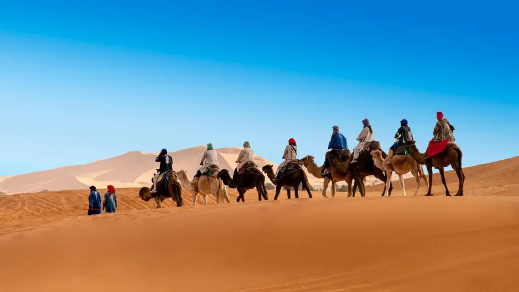 excursion à Merzouga en dromadaire