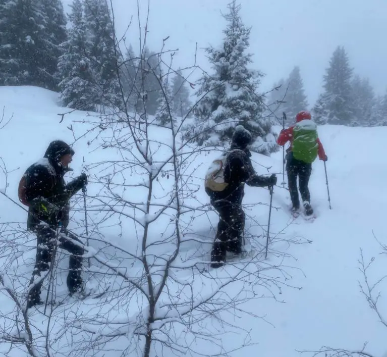 kari traa marque outdoor norvégienne Tshirt manche longue laine mérinos raquettes montée dans la poudreuse