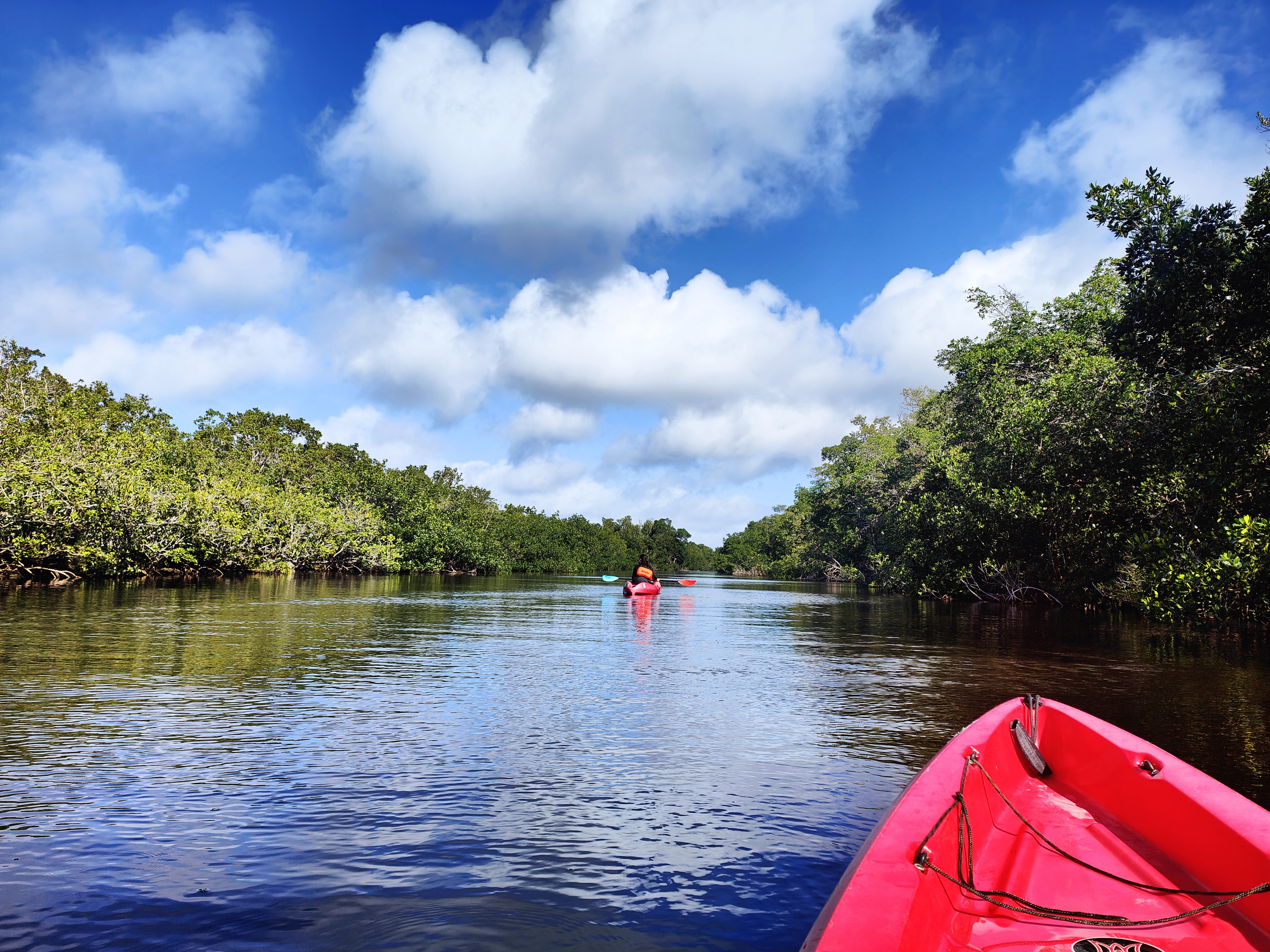 Kayak dans les Everglades aux USA