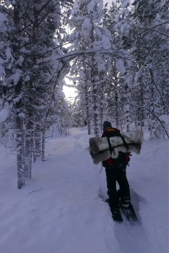 chemin enneigé en foret suédoise