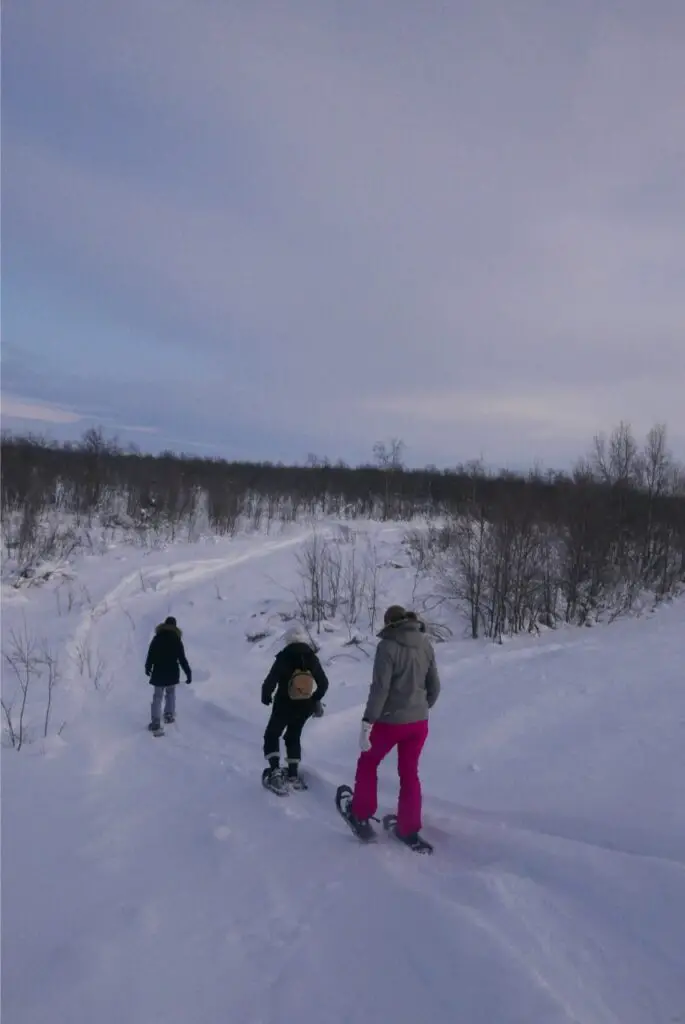 descente en raquettes à neige à karsuando en suède