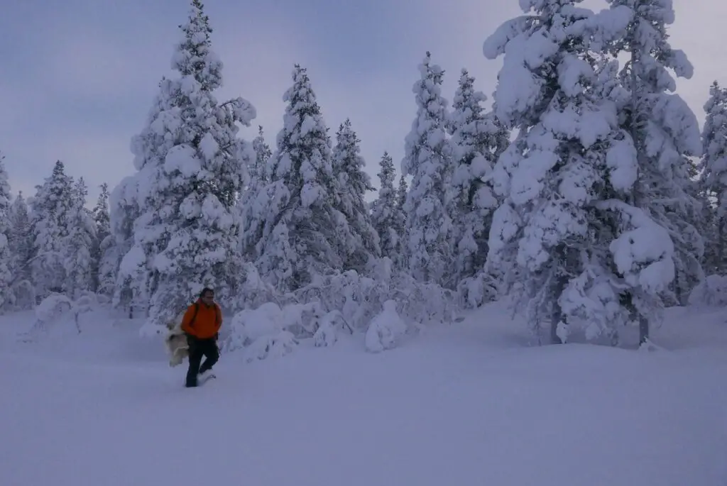 marche dans la neige en raquette dans un décor enneigé