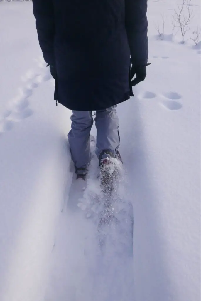 marche dans la neige en suede en raquettes à neige