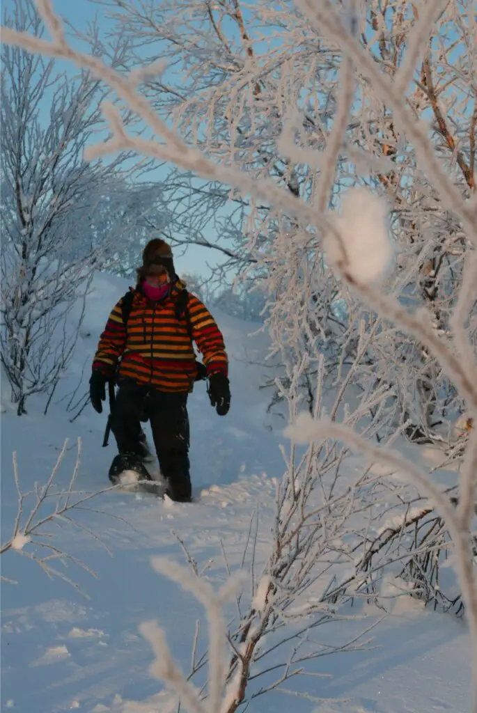 marche en raquette à neige dans poudreuse en suède