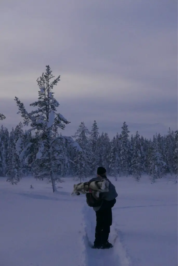 rando en raquettes à neige en silence en terre samis en suède