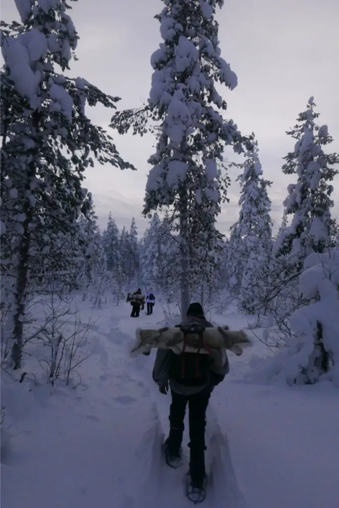 randonnée en foret en raquettes à neige en suède